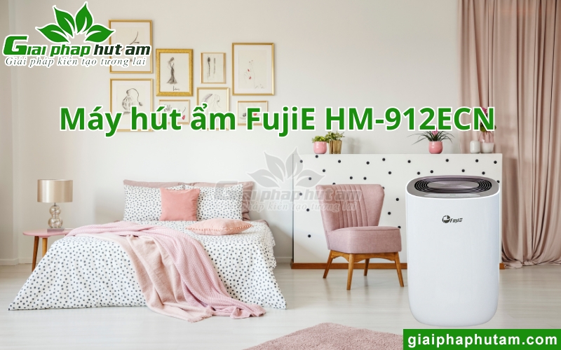 Máy hút ẩm tại Điện Biên FujiE HM-912ECN