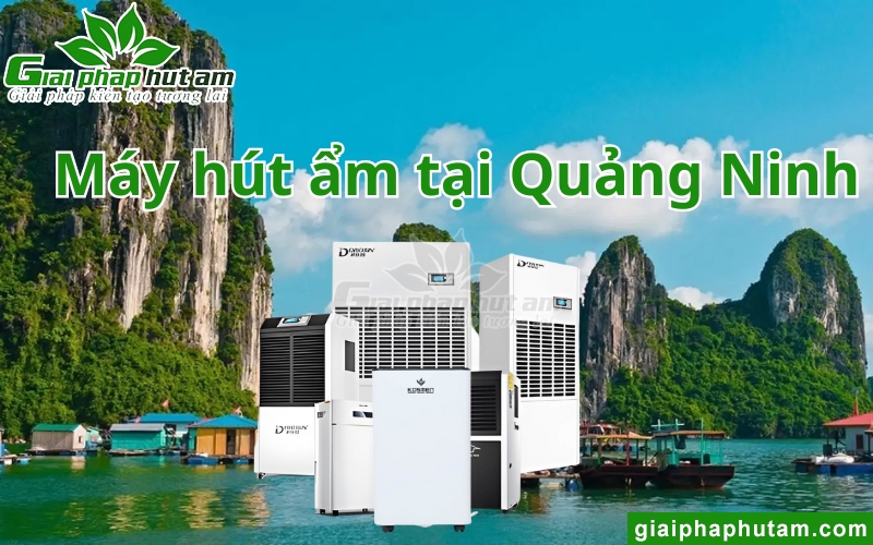 Máy hút ẩm tại Quảng Ninh