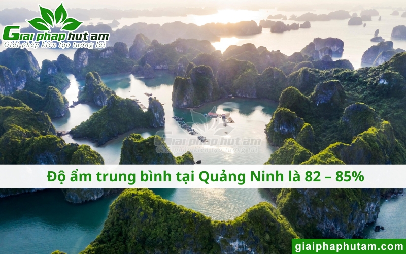 độ ẩm tại quảng ninh