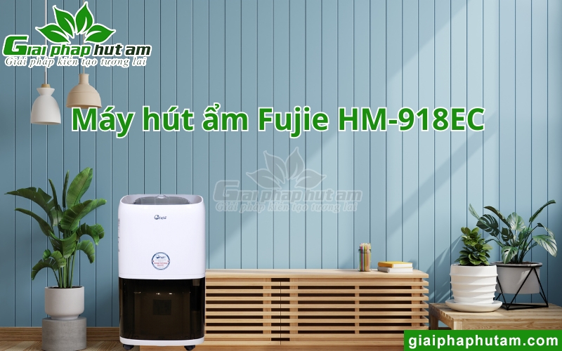 Máy hút ẩm tại Quảng Ninh Fujie HM-918EC 