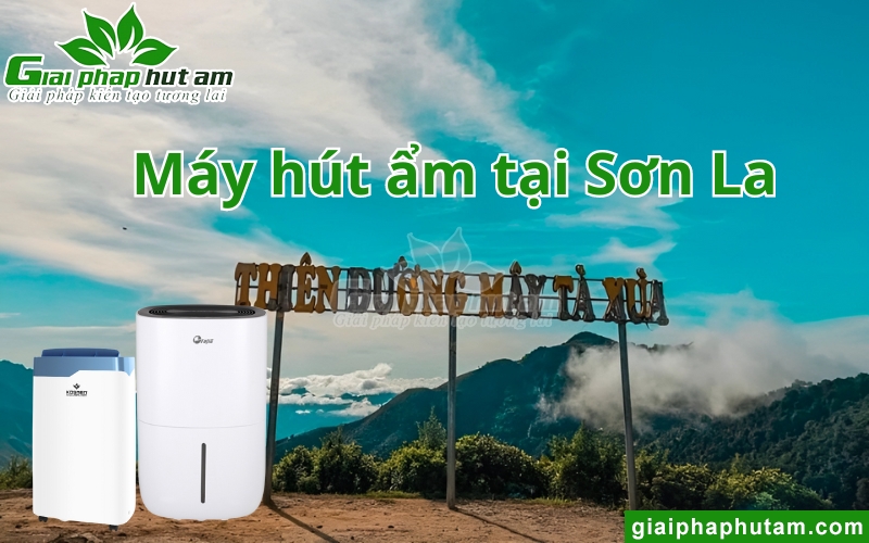 Máy hút ẩm tại Sơn La