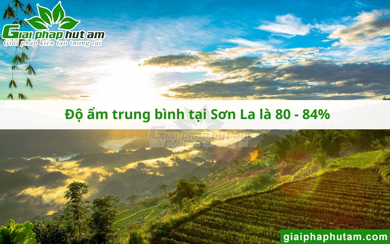 độ ẩm tại sơn la