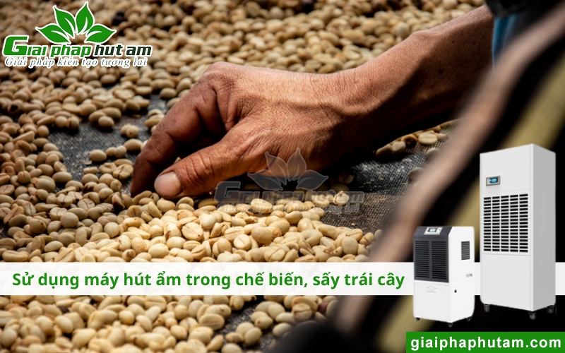 Máy hút ẩm tại Sơn La sử dụng trong công nghiệp