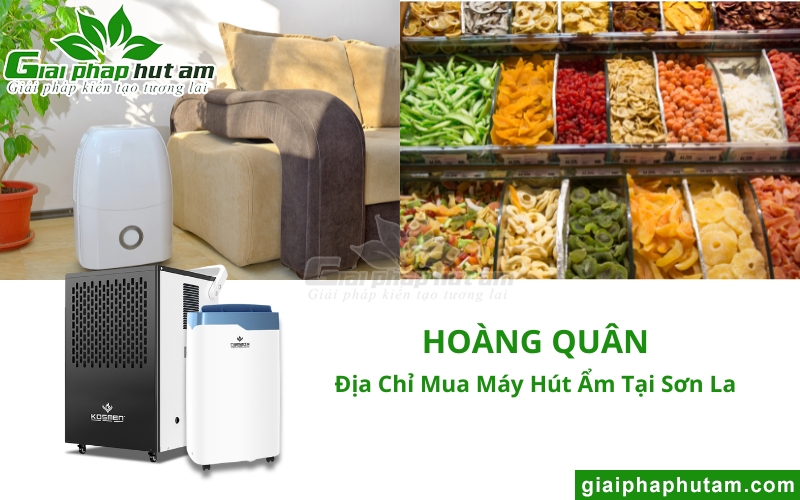 địa chỉ bán Máy hút ẩm tại Sơn La