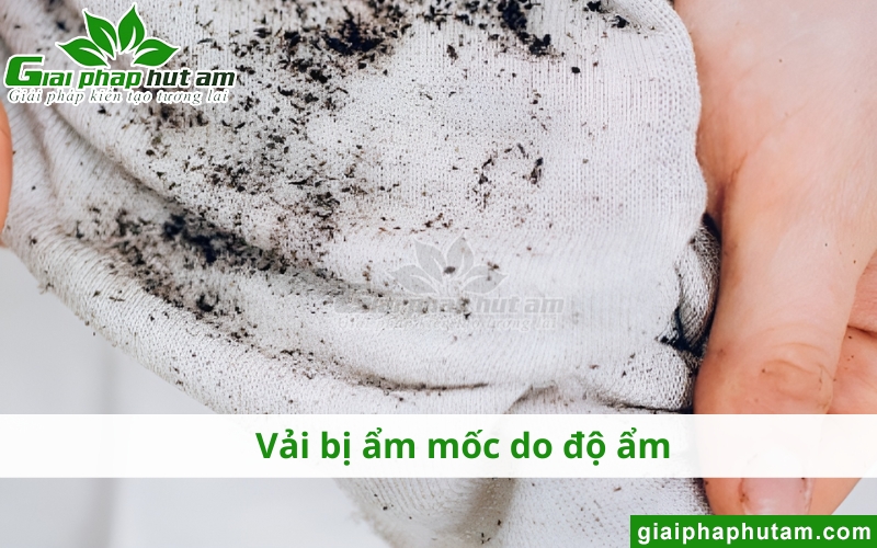 độ ẩm cao làm vải bị mốc