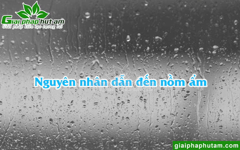 Nguyên nhân dẫn đến nồm ẩm