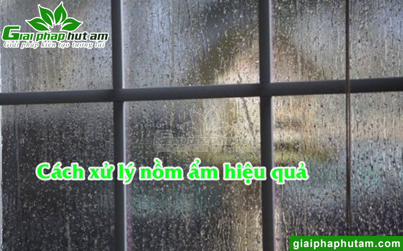 Cách xử lý nồm ẩm hiệu quả