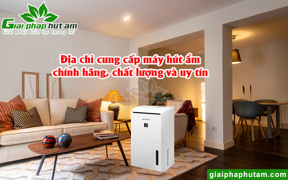 Địa chỉ cung cấp máy hút ẩm chính hãng, chất lượng hàng đầu thị trường