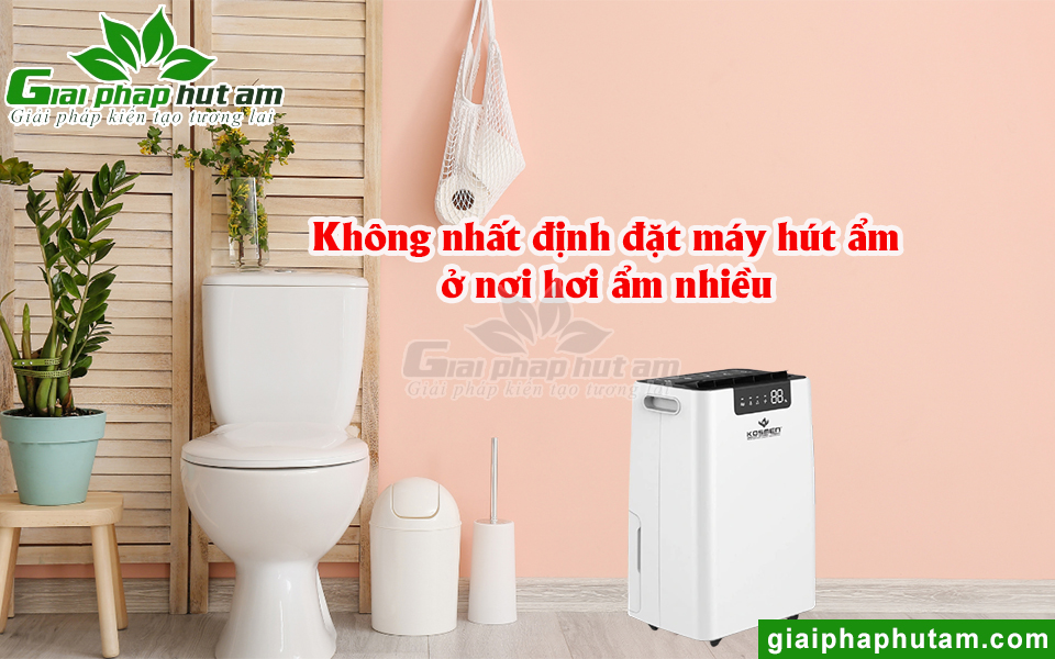 Không nhất thiết đặt máy hút ẩm ở khu vực ẩm nhiều