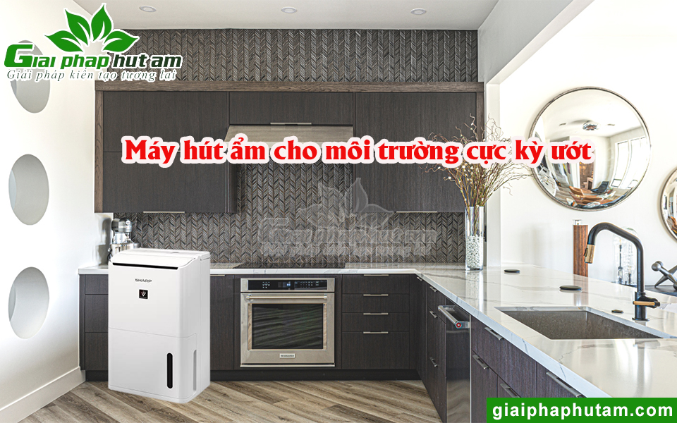 Chọn máy hút ẩm cho môi trường cực kỳ ướt