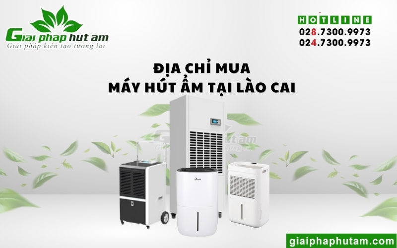 Địa chỉ mua máy hút ẩm tại Lào