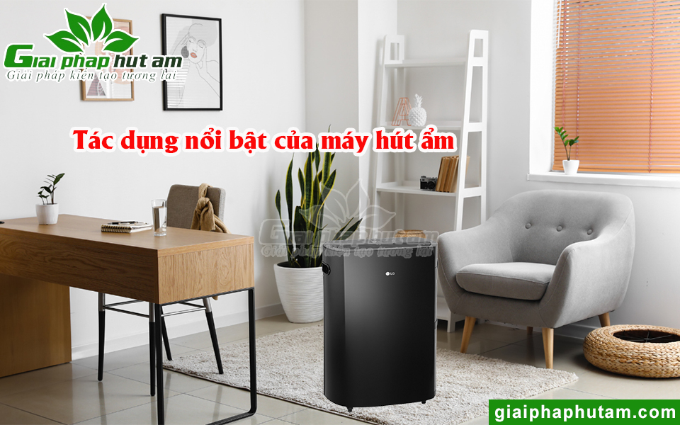 Tác dụng nổi bật của máy hút ẩm gia đình
