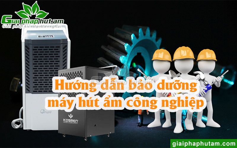 Hướng dẫn bảo dưỡng máy hút ẩm công nghiệp đúng cách