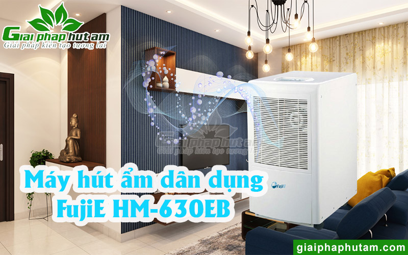 Máy hút ẩm gia đình FujiE HM-630EB