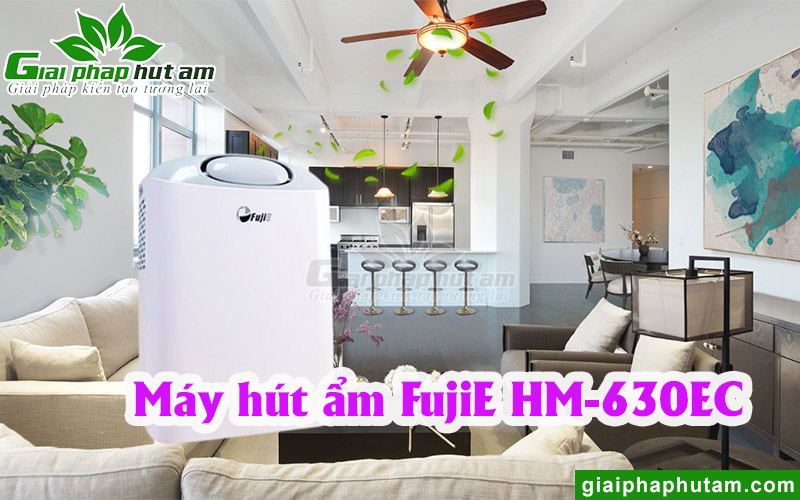 Máy hút ẩm dân dụng FujiE HM-630EC