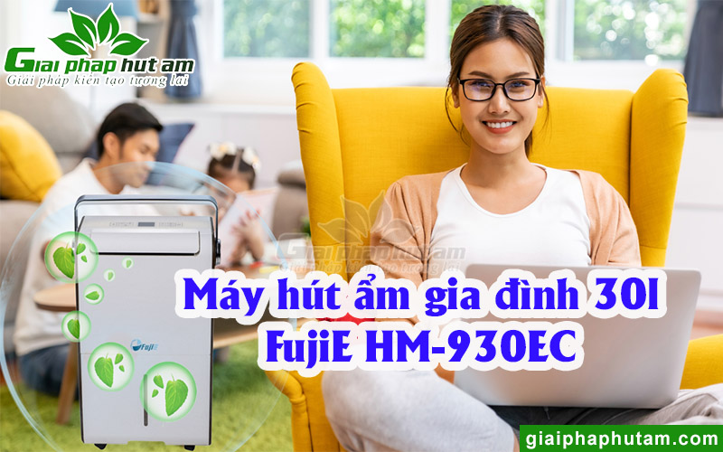 Máy hút ẩm gia đình 30l FujiE HM-930EC