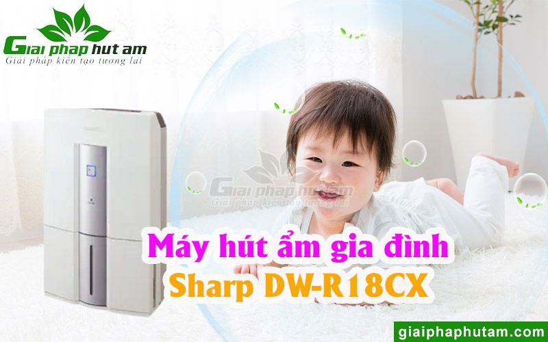 Máy hút ẩm nội địa Nhật Sharp DW-R18CX