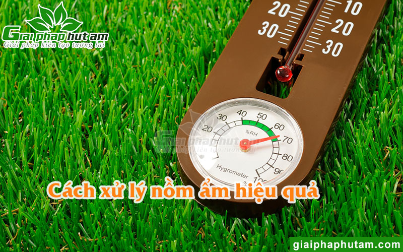 Cách xử lý trời nồm ẩm hiệu quả
