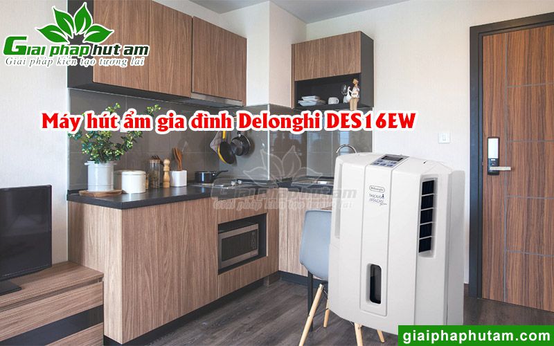 Máy hút ẩm gia đình Delonghi DES16EW