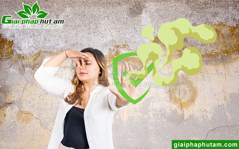 Khử mùi nồm ẩm hiệu quả khi trời nồm