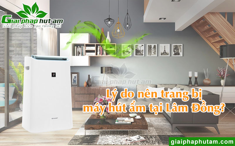 Tại sao nên trang bị máy hút ẩm tại Lâm Đồng?