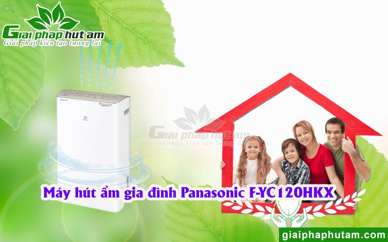 Máy hút ẩm gia đình Panasonic F-YC120HKX