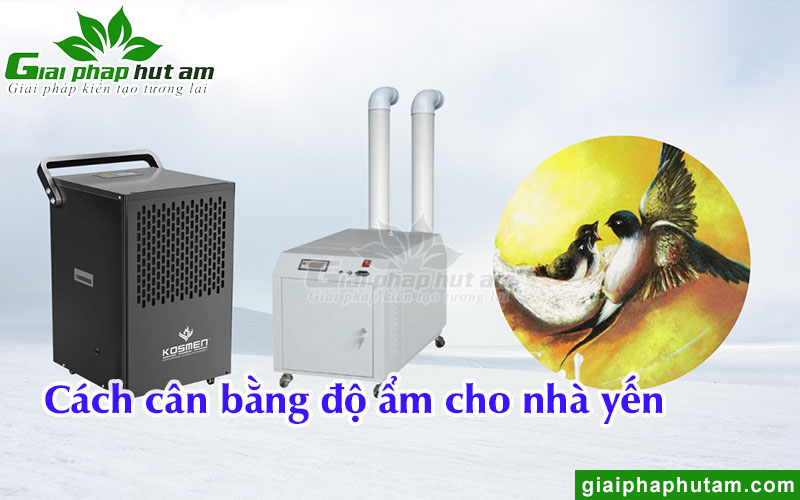 Cách cân bằng độ ẩm cho nhà yến hiệu quả