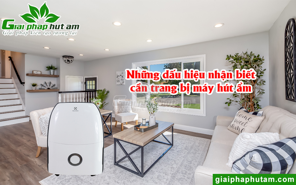 Những dấu hiệu nhận biết ngôi nhà cần sử dụng máy hút ẩm