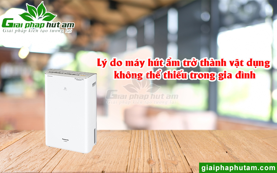 Tại sao máy hút ẩm chống nồm trở thành thiết bị không thể thiếu trong các hộ gia đình?