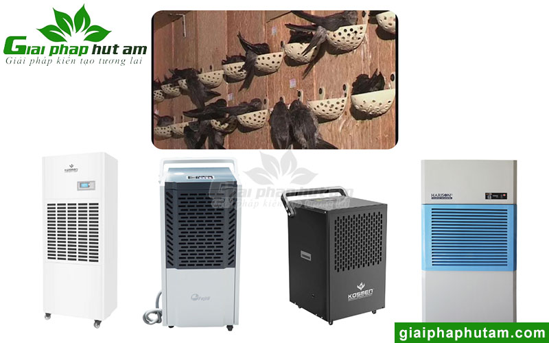 Các model máy hút ẩm công nghiệp cho nhà yến