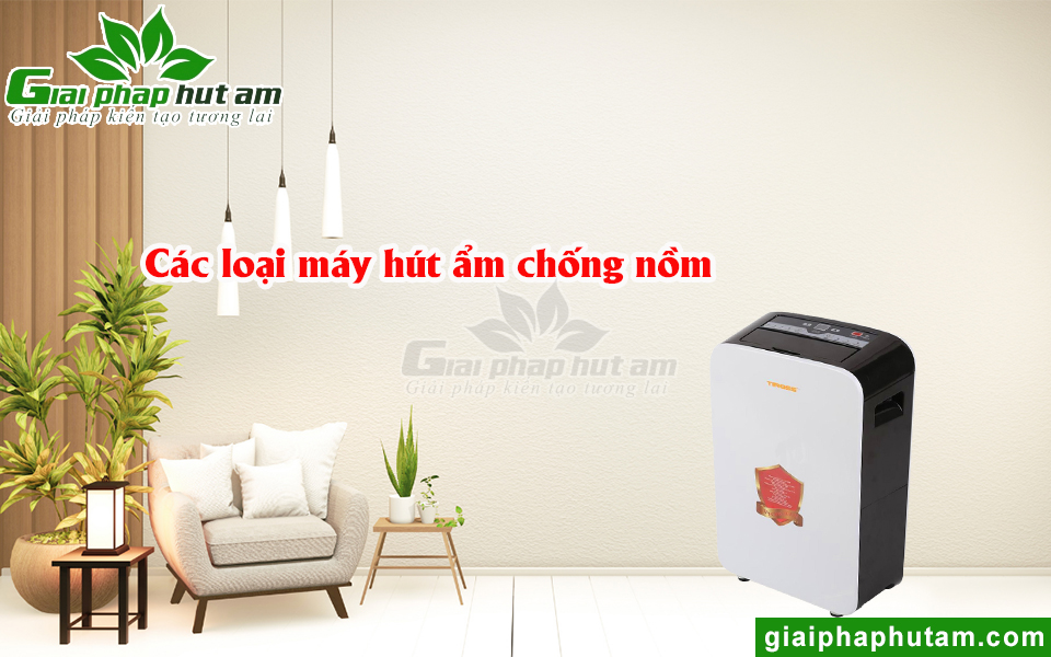 Những loại máy hút ẩm chống nồm hiện nay