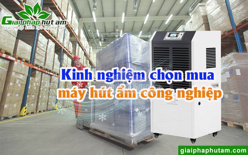 Kinh nghiệm chọn mua máy hút ẩm công nghiệp chất lượng