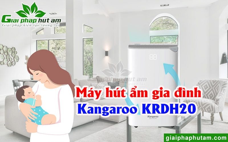 Máy hút ẩm dân dụng Kangaroo KGDH20