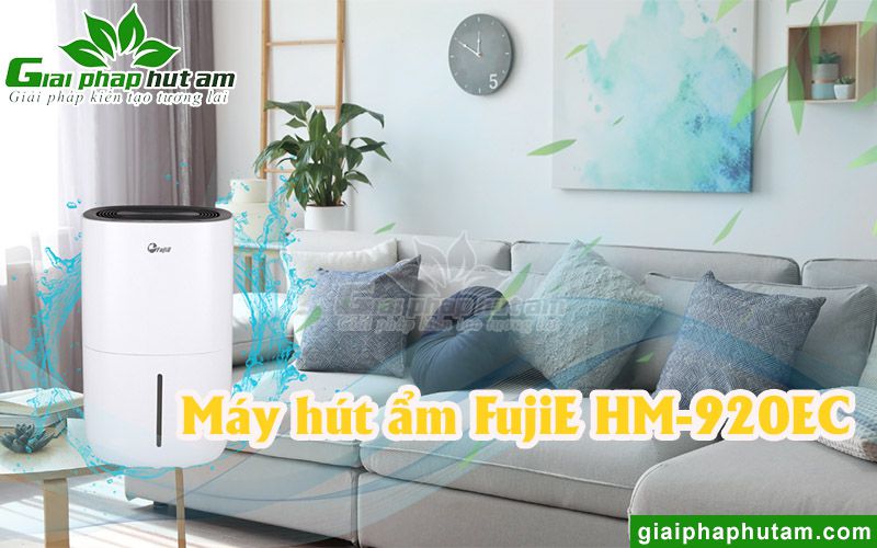 Máy hút ẩm gia đình 20l giá rẻ FujiE HM-920EC