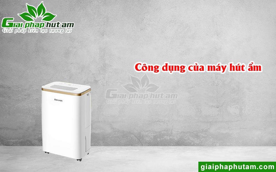 Công dụng nổi bật của máy hút ẩm