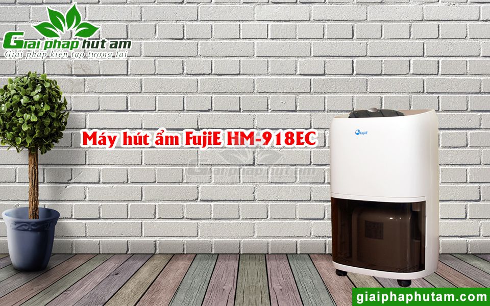 Máy hút ẩm dân dụng FujiE HM-918EC