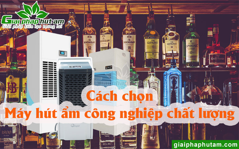 Cách chọn máy hút ẩm công nghiệp theo công suất cho từng diện tích phòng