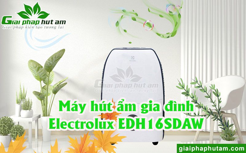 Máy hút ẩm gia đình Electrolux EDH16SDAW