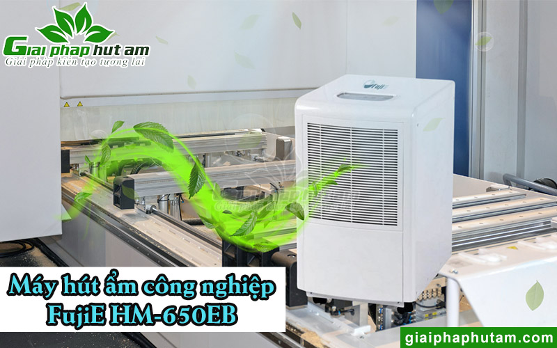 Máy hút ẩm công suất lớn FujiE HM-650EB