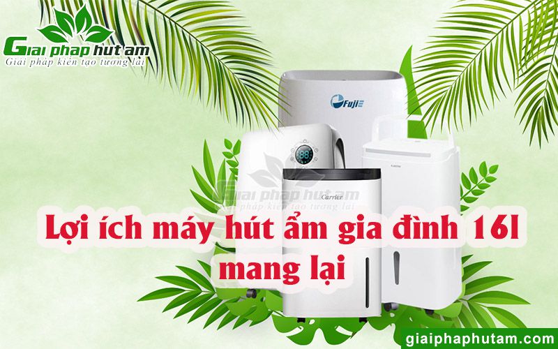 Lợi ích to lớn của chiếc máy hút ẩm gia đình 16l