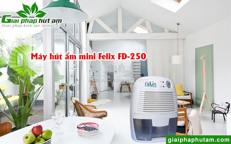 Máy hút ẩm mini Felix FD-250