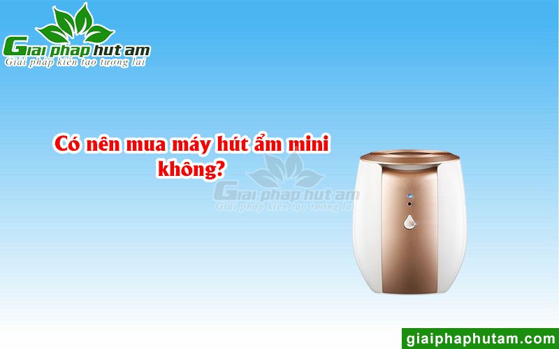 Nên mua máy hút ẩm mini cho gia đình mình không?