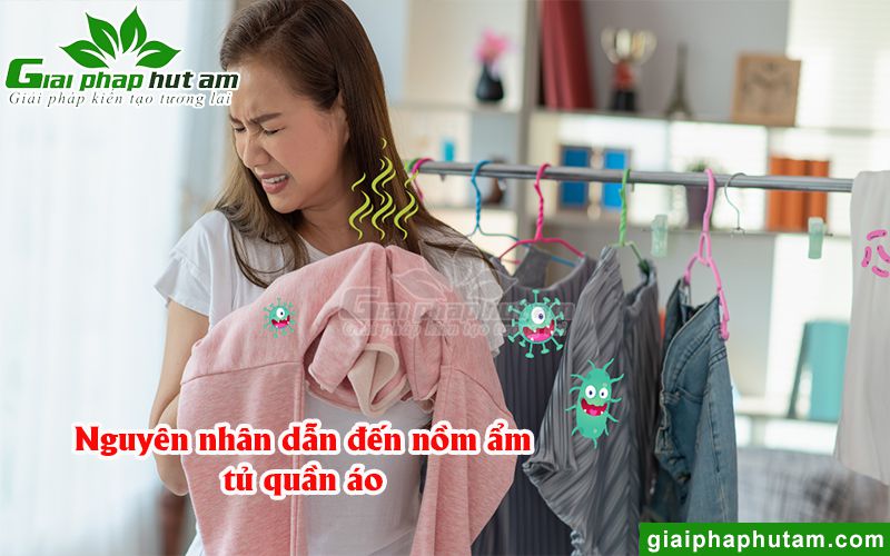 Nguyên nhân cần sử dụng máy hút ẩm tủ quần áo cho gia đình mình