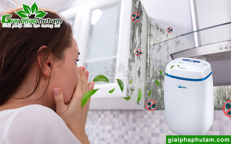 Tác dụng nổi bật của máy hút ẩm gia đình 14l