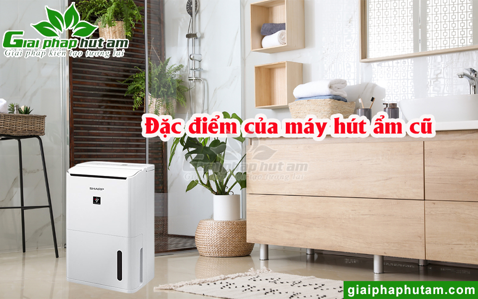 Đặc điểm của máy hút ẩm cũ