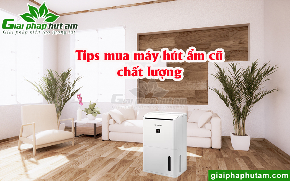 Những tips chọn mua máy hút ẩm chất lượng