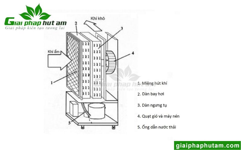 Cấu tạo máy hút ẩm ngưng tụ