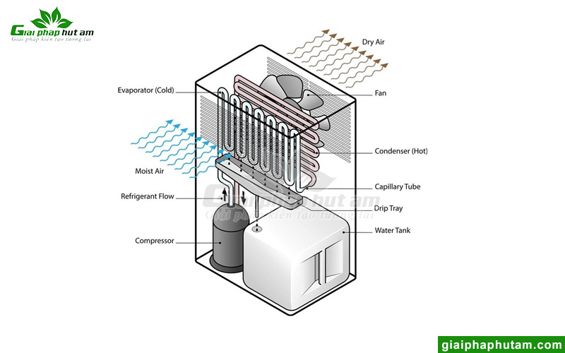 Cấu tạo máy hút ẩm dạng ngưng tụ