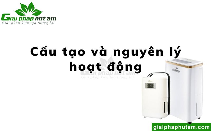 Cấu tạo và nguyên lý hoạt động của máy hút ẩm