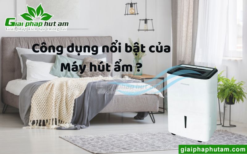 Công dụng nổi bật của máy hút ẩm trong đời sống